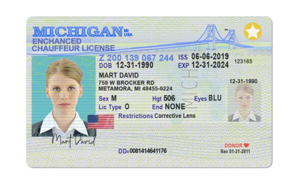 Buy Michigan Fake Driver's License