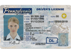 We offer the sales of high quality buy Pennsylvania driver’s license online. Pennsylvania driver’s license for sale, fake driving license