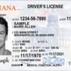 We provide the sales of Indiana Fake Driving Licence for sale. Buy Indiana Driving Licence, Buy Quality Fake ID, buy a drivers license